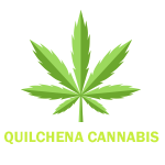 Quilchena Cannabis Shop